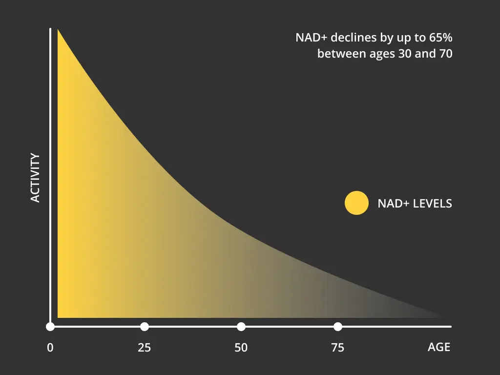 Why do NAD levels decline with age?