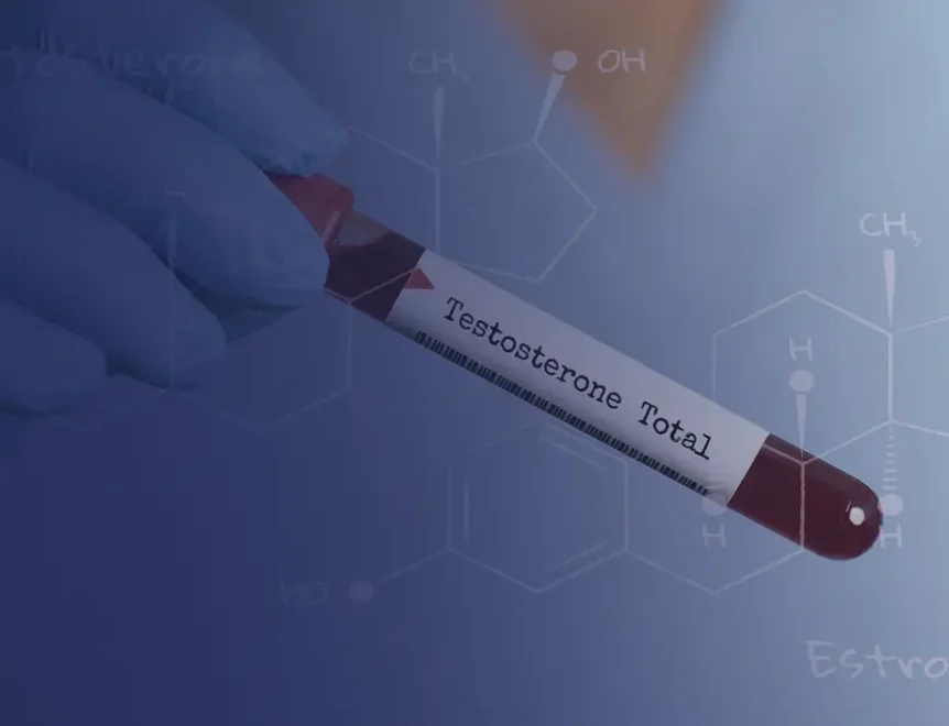 Les effets du resvératrol sur la testostérone et les œstrogènes