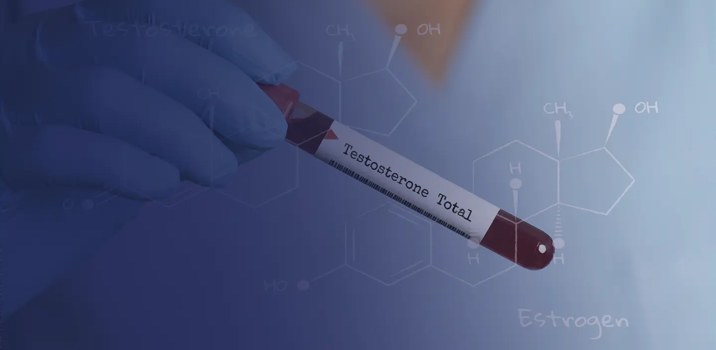 De effecten van resveratrol op testosteron en oestrogeen