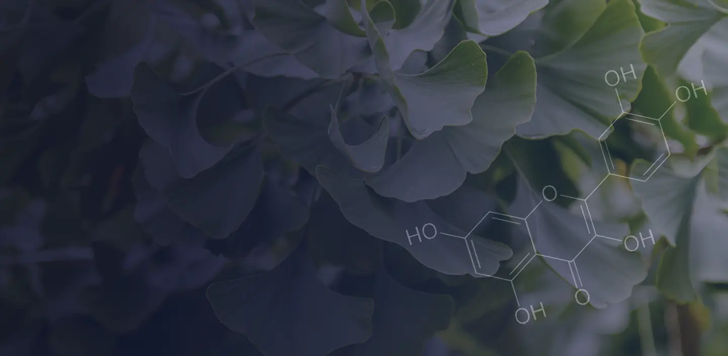 Wat is quercetine? Wat zijn de voordelen en bijwerkingen?