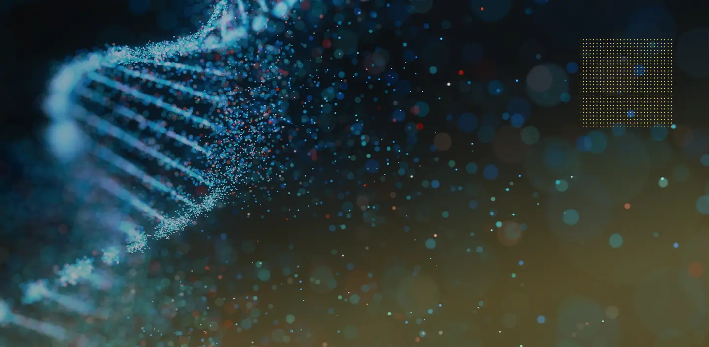 What are sirtuins and why are they important for longevity