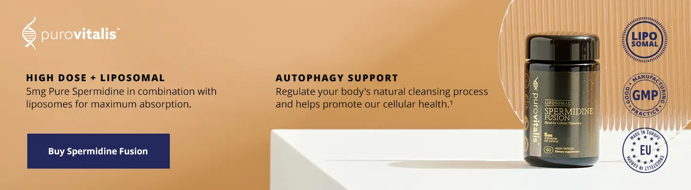 Koop liposomale spermidinefusie om autofagie te ondersteunen