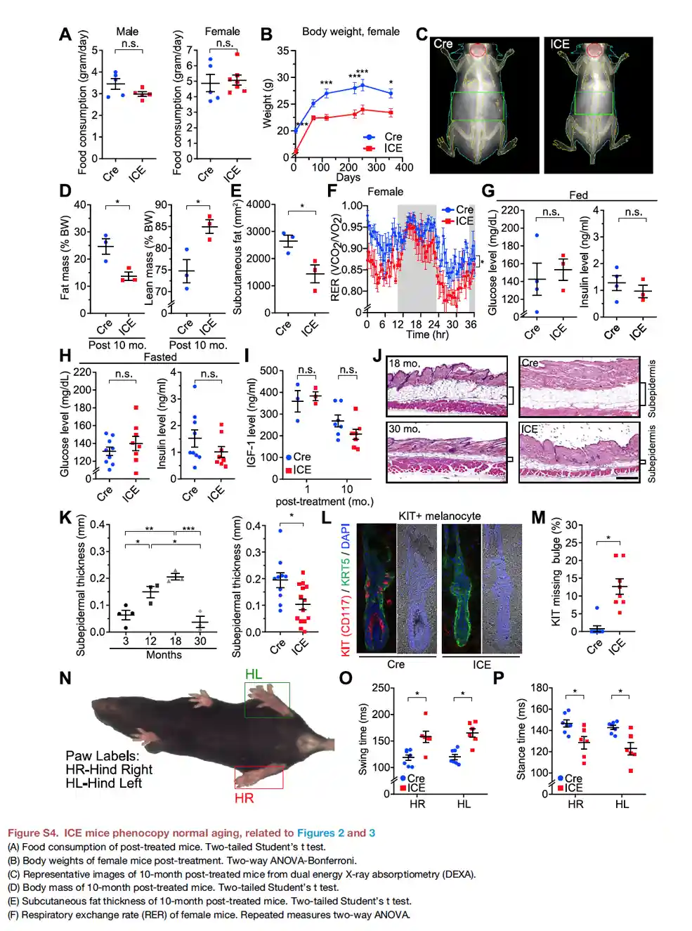 dna damage and epigenetic aging on mice between Cr and ICE