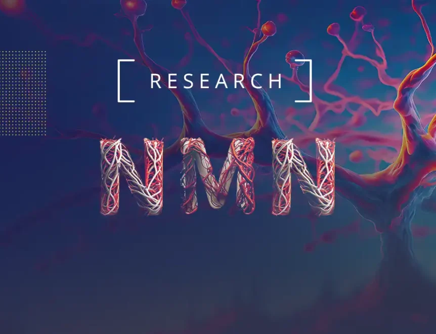 Entdecke die Studie darüber, wie NMN Entzündungen in menschlichen Primärzellkulturen lindert. Tauche tief in die Wirkmechanismen und möglichen therapeutischen Anwendungen von NMN bei der Bekämpfung entzündungsbedingter Erkrankungen ein.