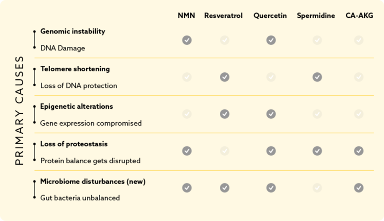 Table graphic comparing the potential benefits of NMN, Resveratrol, Quercetin, Spermidine, and CA-AKG on the hallmarks of aging, showcasing how each compound might influence the causes of aging.