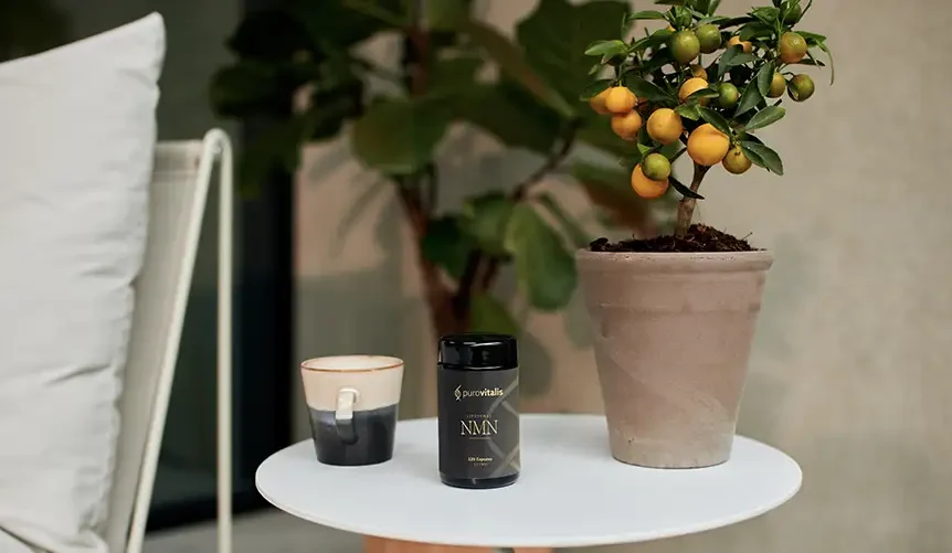 Auf dem Tisch stehen eine Flasche NMN-Nahrungsergänzungsmittel, eine Kaffeetasse und eine Calamondin-Pflanze.