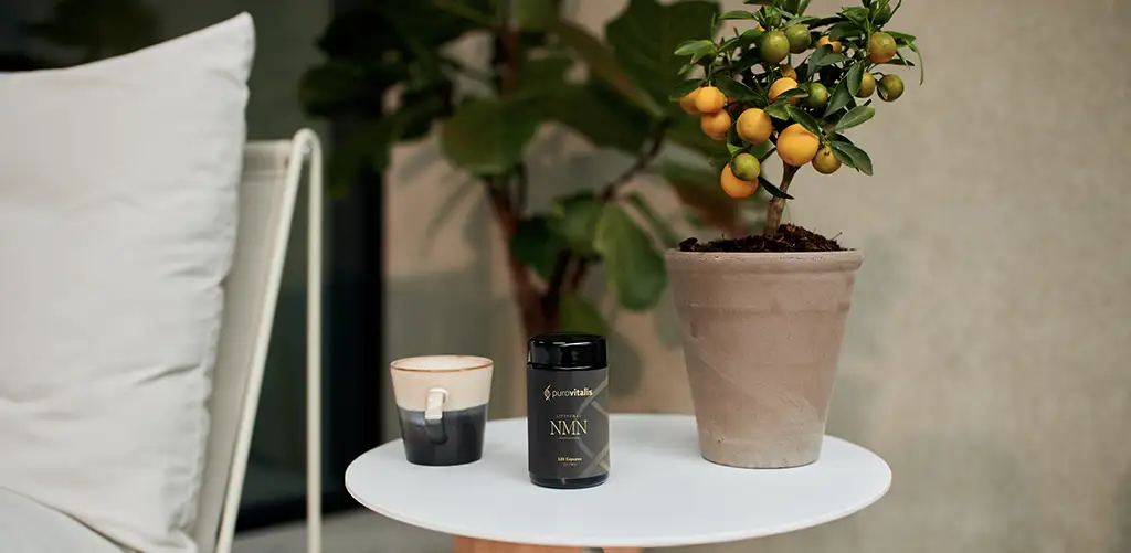 A bottle of NMN supplements on the table together with a coffeecup and a calamondin orange plant.