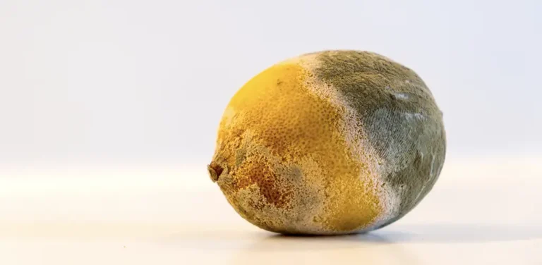 Foto van een oude citroen